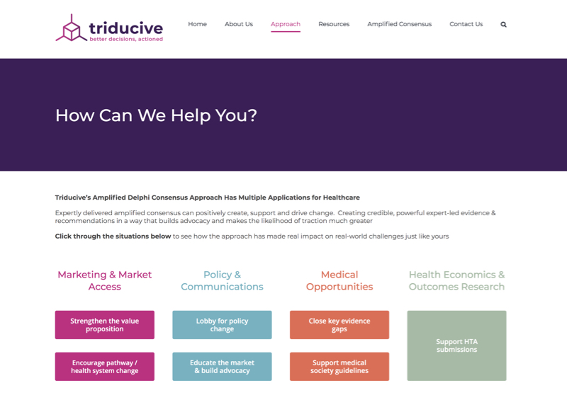 Triducive Web Design Healthcare - Triducive